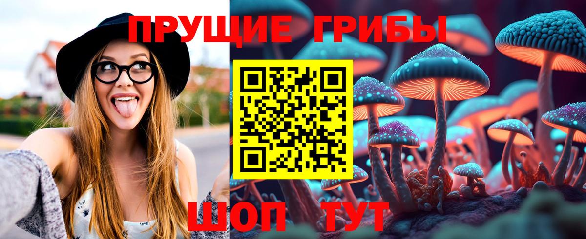 Галлюциногенные грибы Psilocybe  Вход с VPN  Сыктывкар 